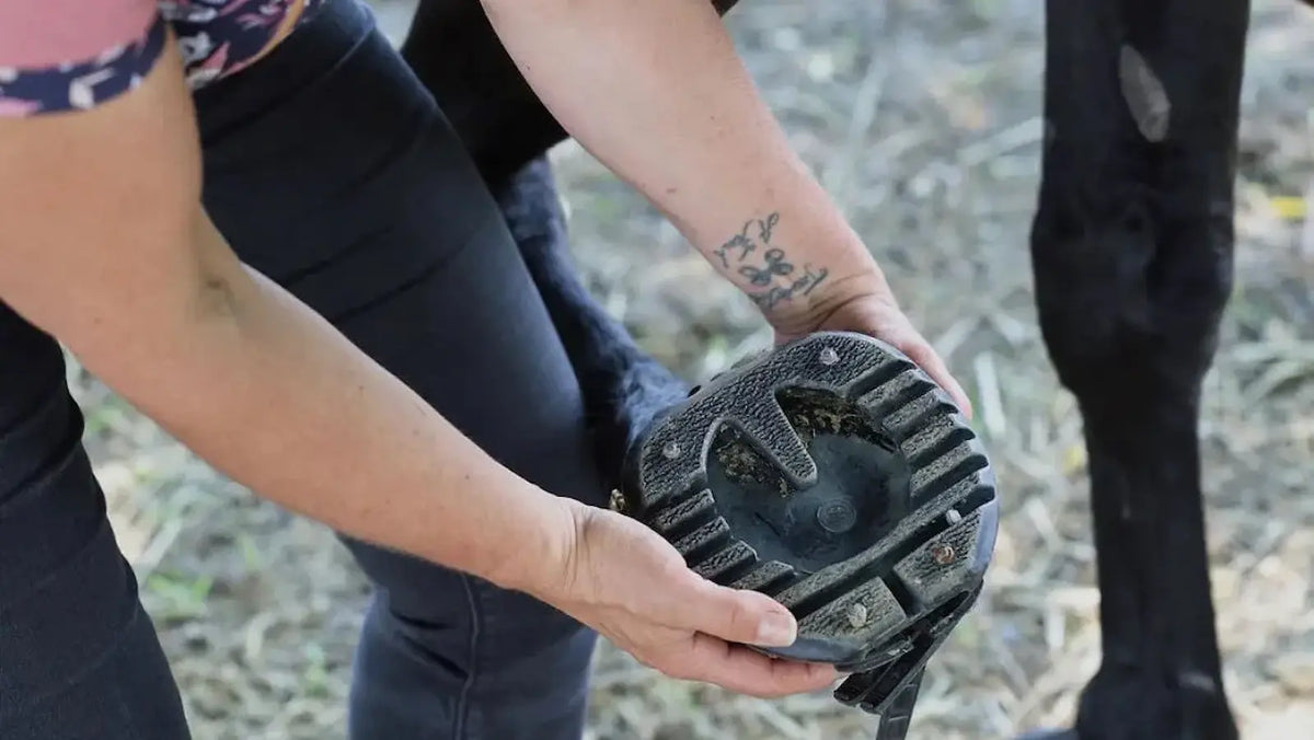 Comment mesurer le sabot de votre cheval pour une ScootBoot (guide complet)