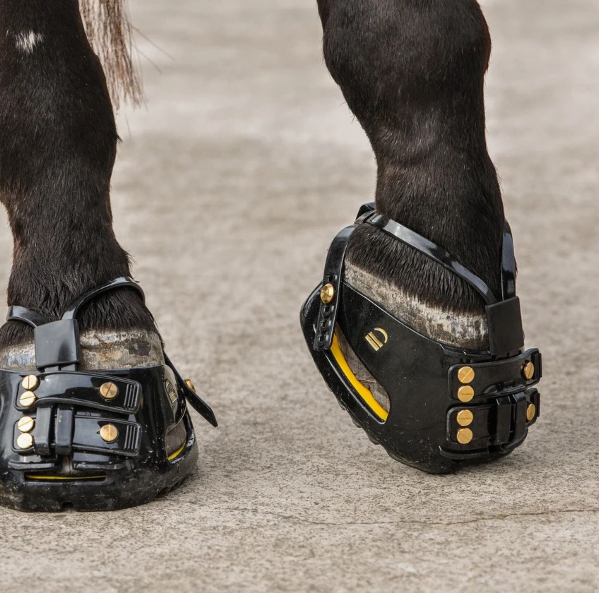 Collection ScootBoot Canada — hipposandales pour chevaux pieds nus au Québec