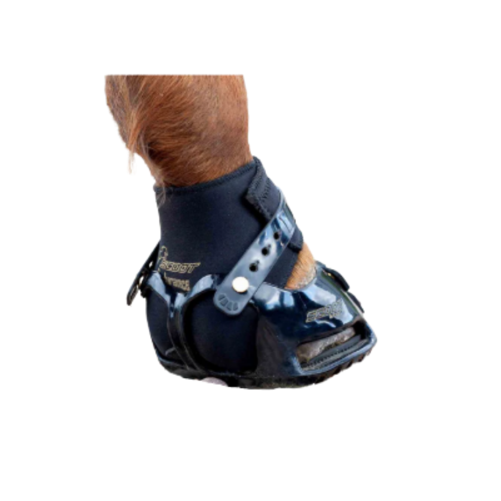 Guêtres d’endurance / Endurance Gaiters