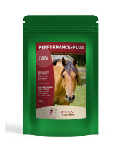 Performance plus 1kg / 2KG
