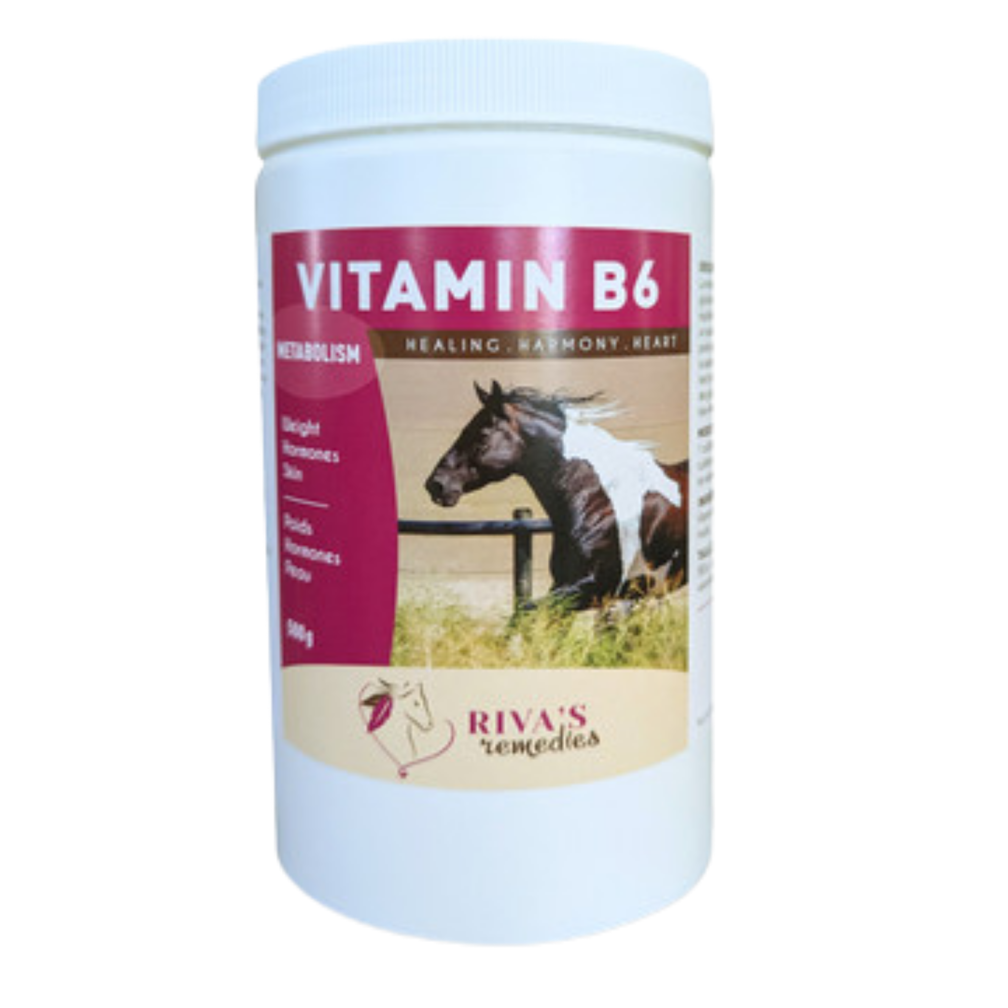 Vitamine B6 - 100g / 250g / 500g