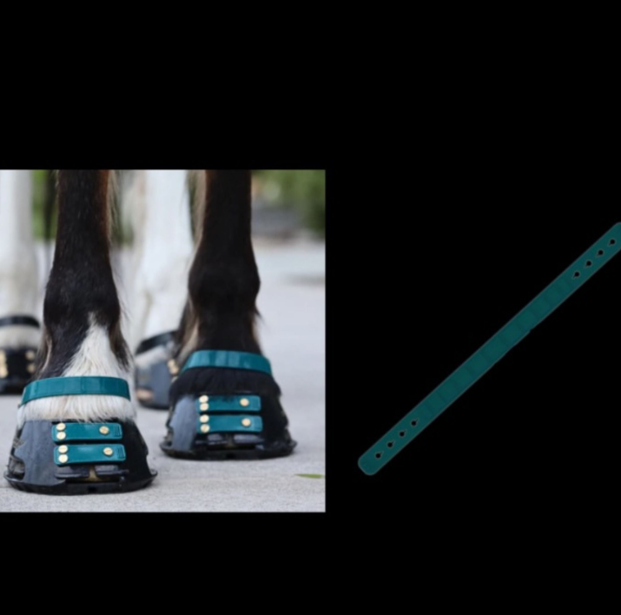 Sangle de paturon ScootBoot couleur émeraude — accessoire hipposandale