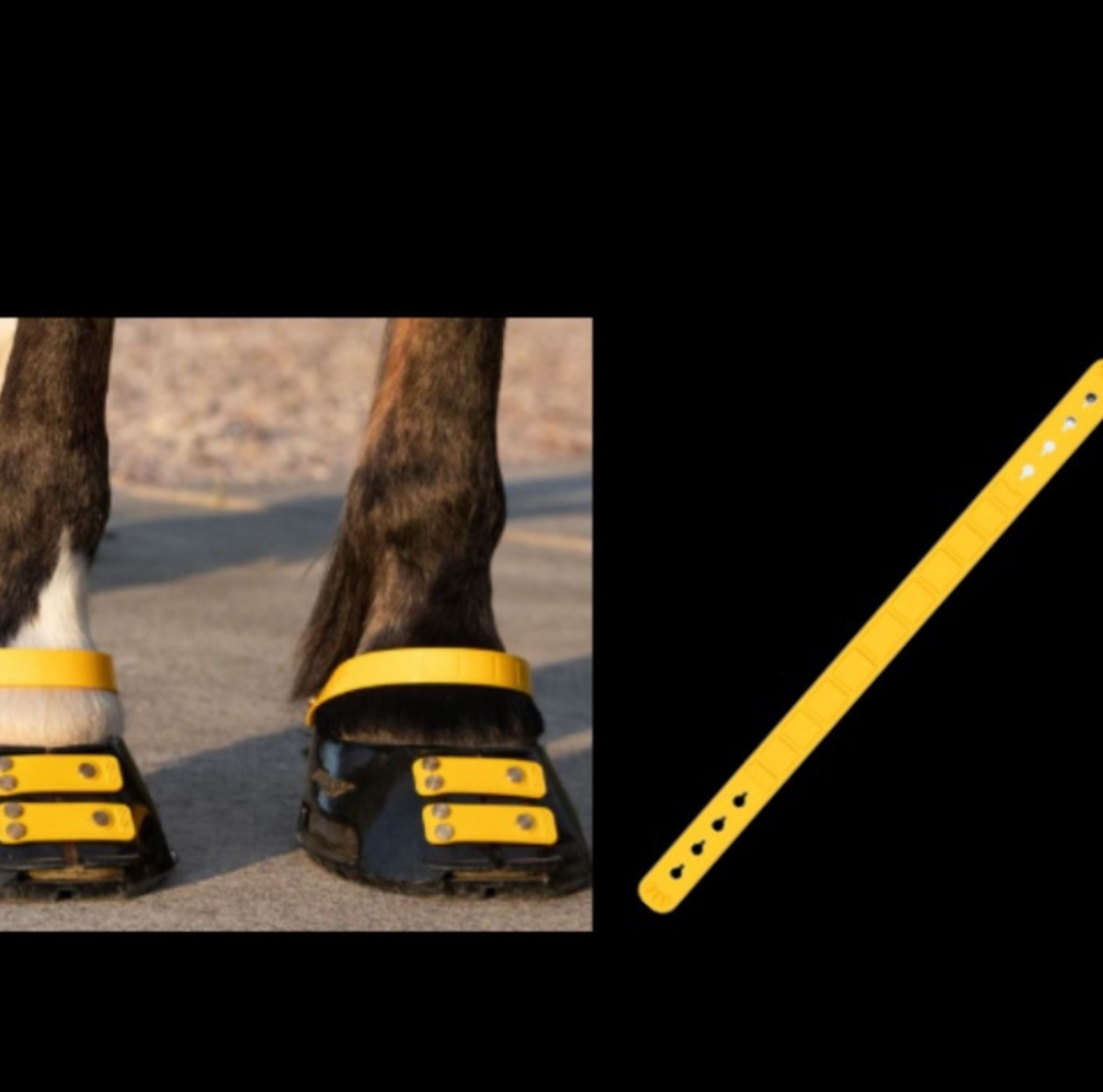 Sangle de paturon ScootBoot couleur jaune doré — accessoire hipposandale