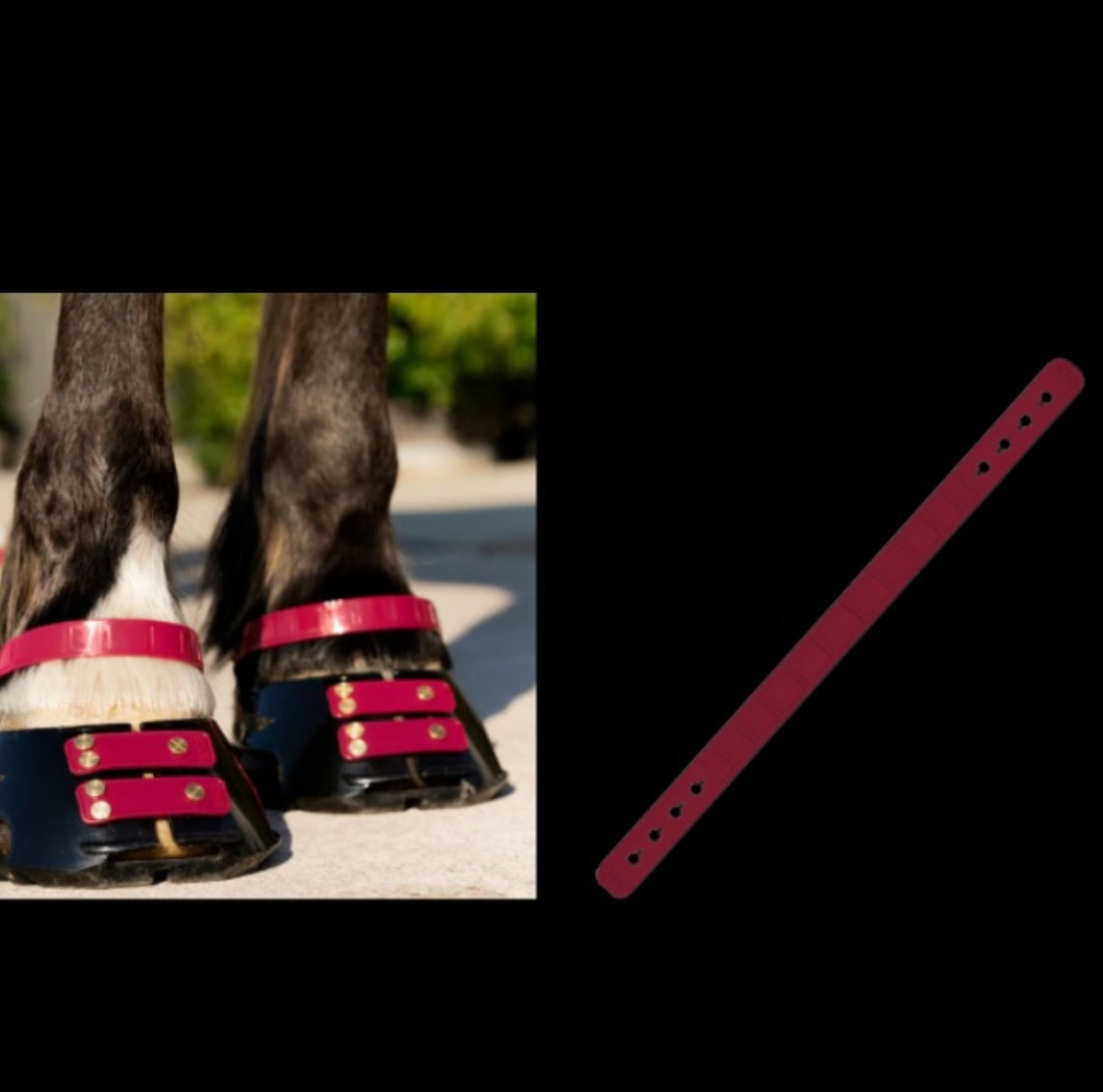 Sangle de paturon ScootBoot couleur mûre — accessoire hipposandale