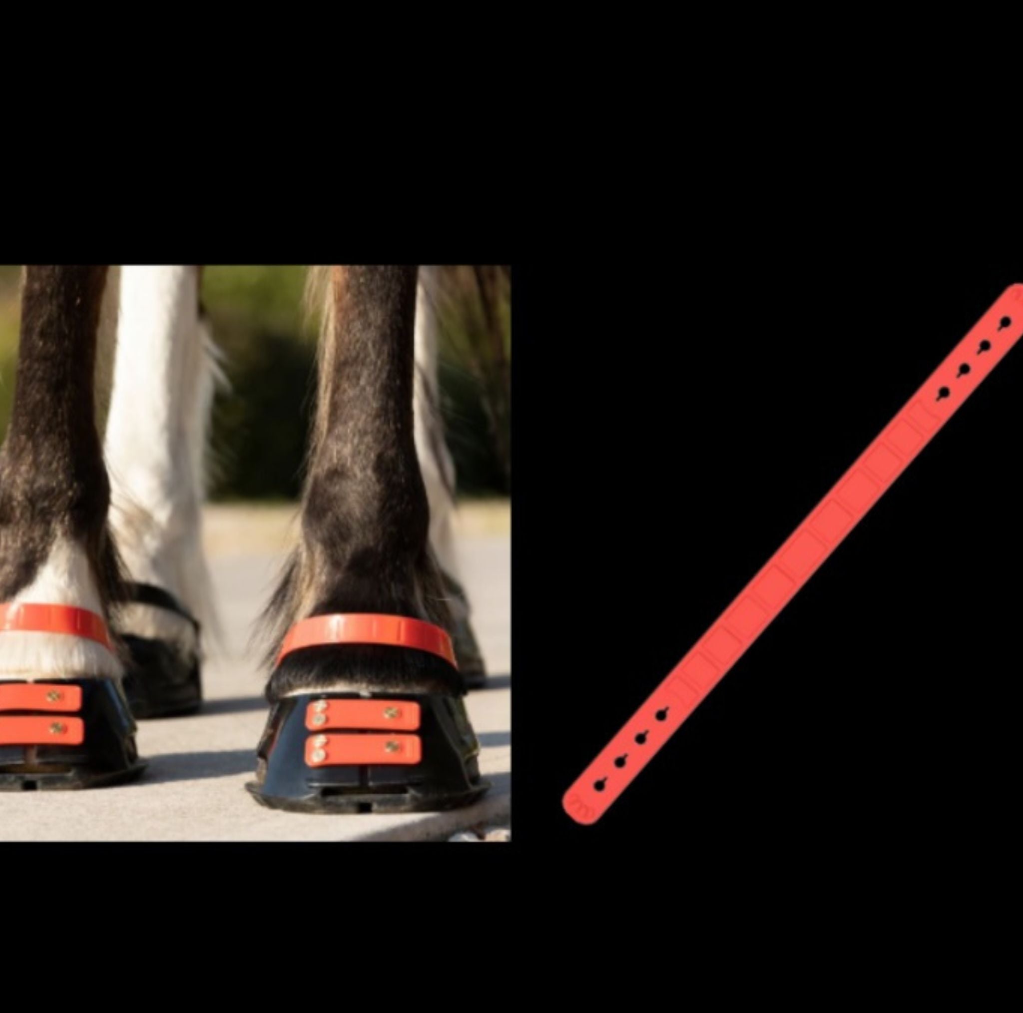 Sangle de paturon ScootBoot | Anti-surengagement