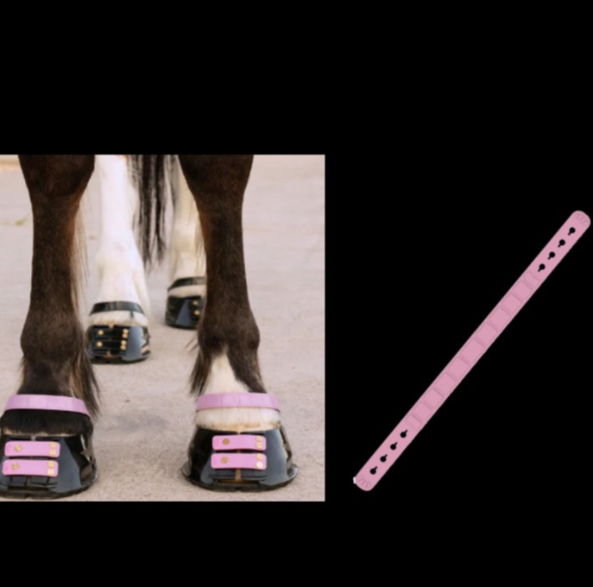 Sangle de paturon ScootBoot couleur rose pâle — accessoire hipposandale