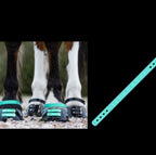 Sangle de paturon ScootBoot couleur turquoise — accessoire hipposandale