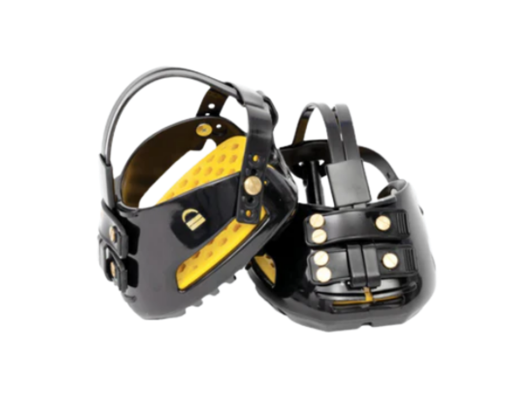 ScootBoot TheraRider