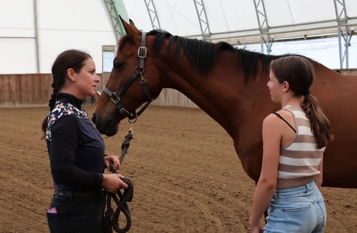 Le soin holistique équin consiste à regarder le cheval dans son ensemble