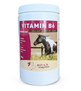 Vitamine B6 (500 gr)