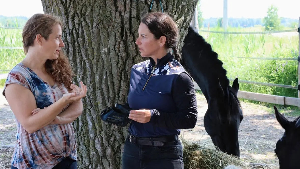 Julie Boulet consultation holistique bien être cheval- Rive-Sud de Montréal