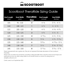 ScootBoot TheraRider