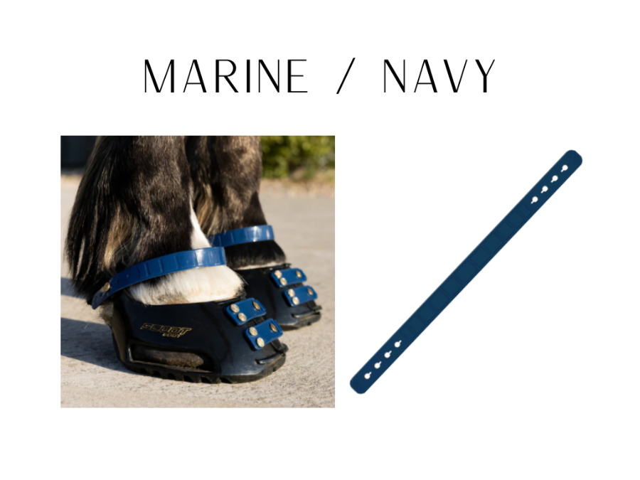 Pastern Straps